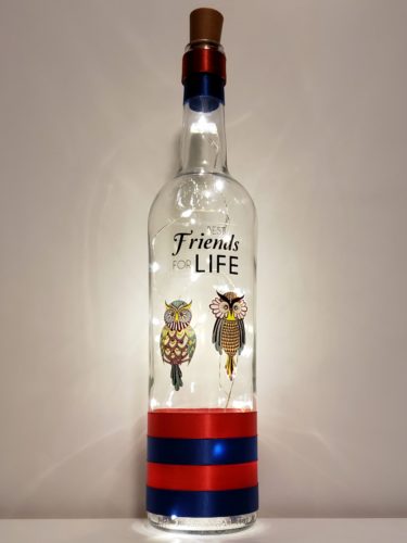 Bottle light with two owls and the phrase, "Friends for Life".