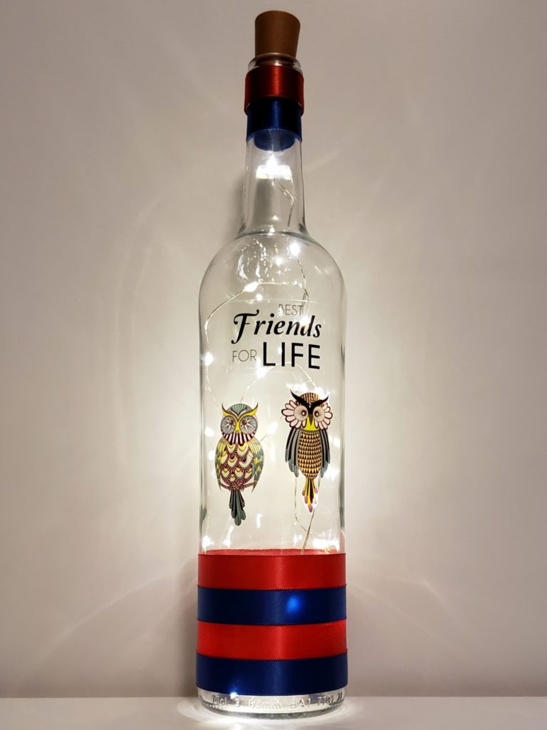 Bottle light with two owls and the phrase, "Friends for Life".